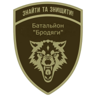 Емблема: 431 окремий батальйон безпілотних систем «Бродяги»